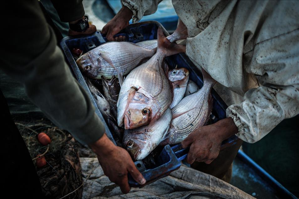 Gazzeli balıkçılar