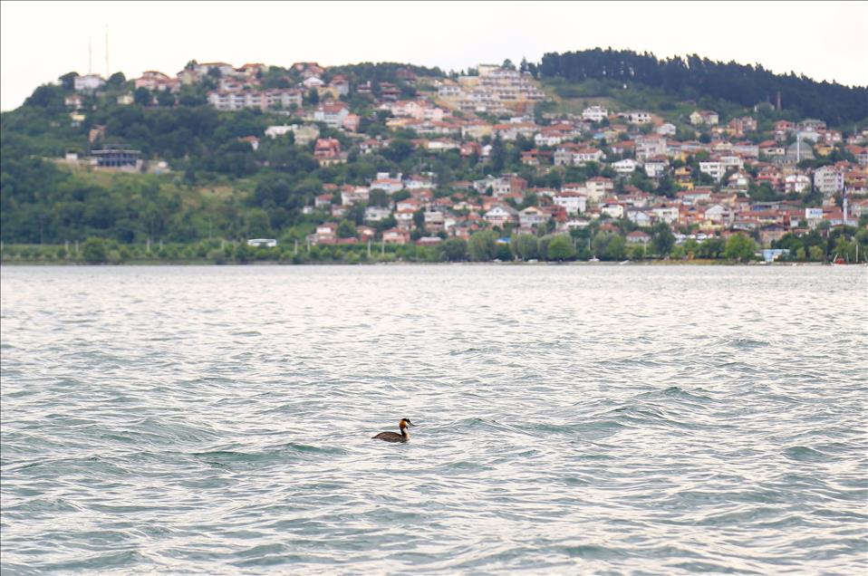 Sapanca Gölü eski günlerine döndü
