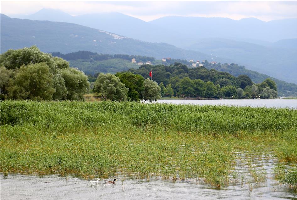Sapanca Gölü eski günlerine döndü