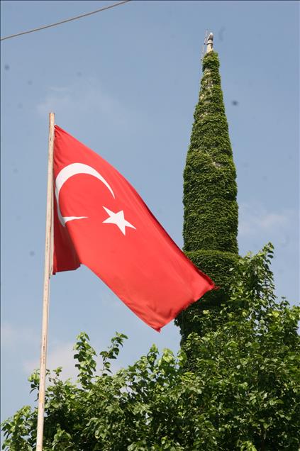 Sarmaşığın yeşile boyadığı cami