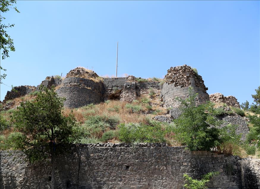 Diyarbakır'da "Dünya Miras Listesi" sevinci