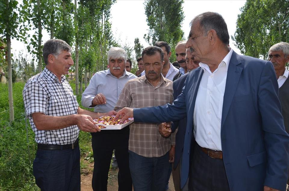 Di eydiyê de nêzî 4 ton û nîv şekir îkram dikin