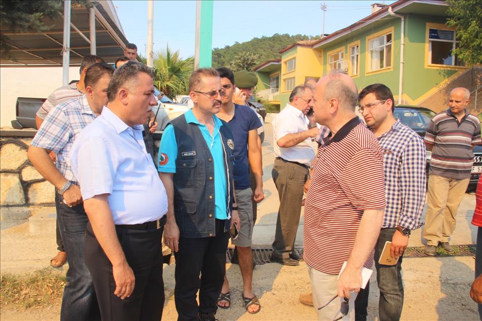 Mersin'deki orman yangını