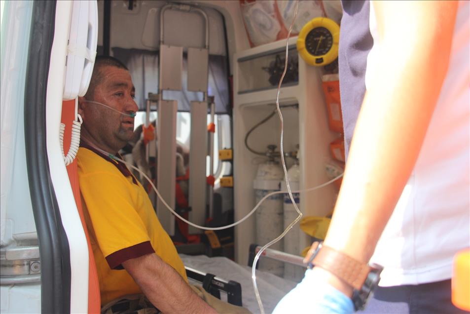 Mersin'de orman yangını