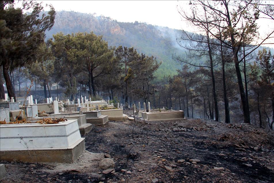 Mersin'deki orman yangını