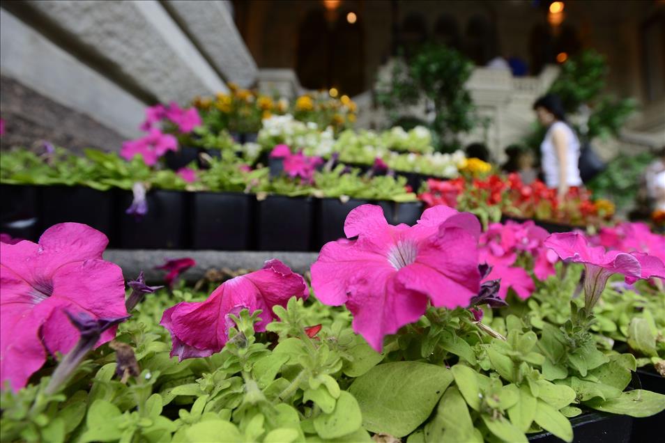 Flower Festival in Moscow