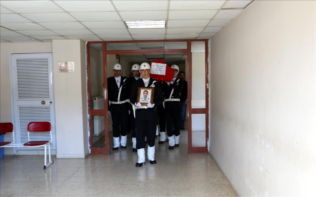 Ceylanpınar'da 2 polisin şehit edilmesi