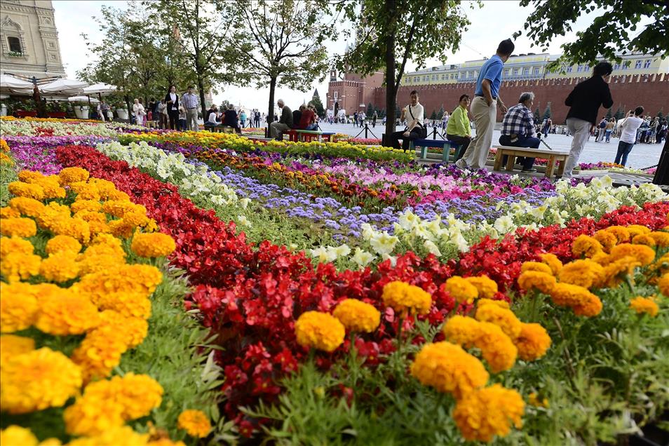 Moskova'da çiçek festivali