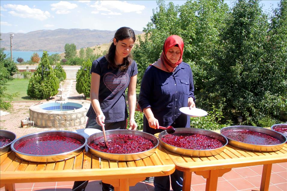 Oğluna şifa veren "karadut"u yetiştirmeye başladı