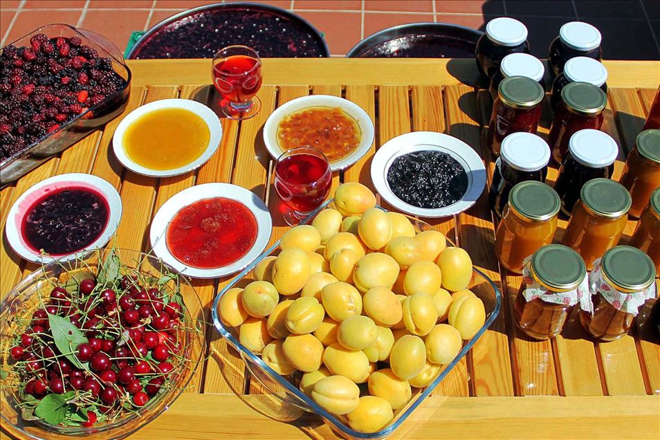 Oğluna şifa veren "karadut"u yetiştirmeye başladı