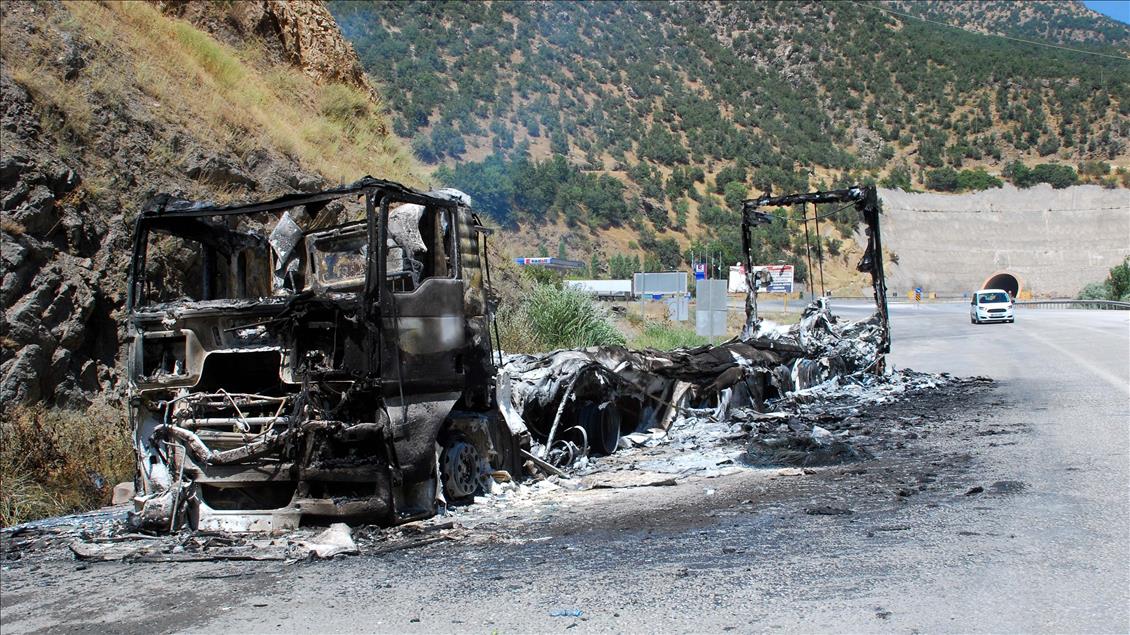 Bitlis'te yol kesen teröristler araç yaktı
