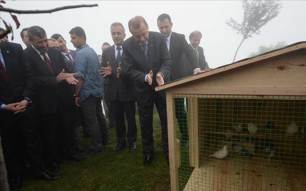 Cumhurbaşkanı Erdoğan Rize'de