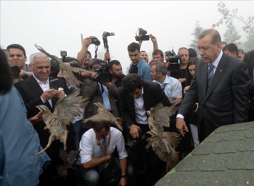 Cumhurbaşkanı Erdoğan Rize'de