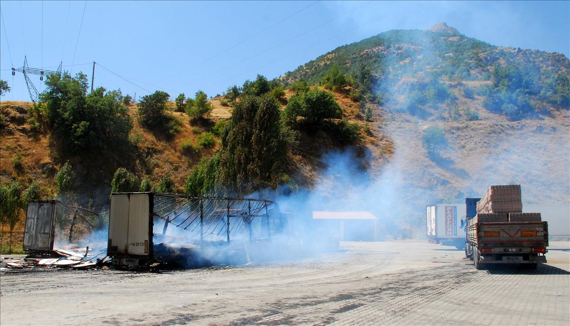 Bitlis'te yol kesen teröristler araç yaktı