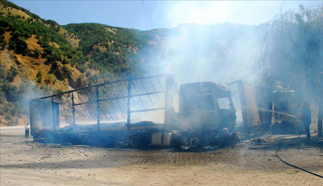 Bitlis'te yol kesen teröristler araç yaktı