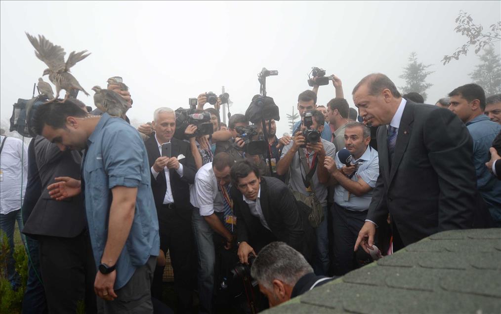 Cumhurbaşkanı Erdoğan Rize'de