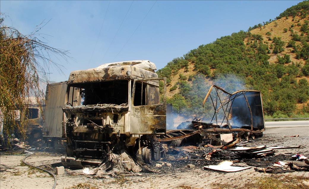 Bitlis'te yol kesen teröristler araç yaktı