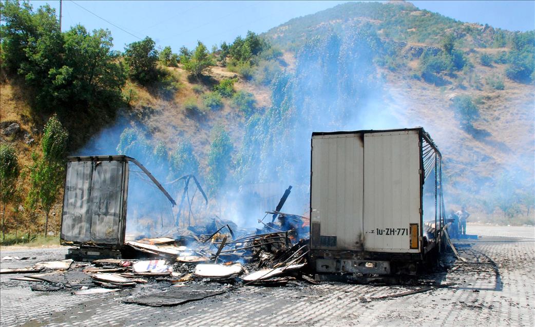 Bitlis'te yol kesen teröristler araç yaktı