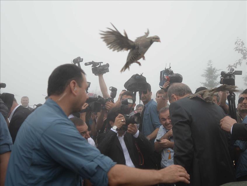 Cumhurbaşkanı Erdoğan Rize'de