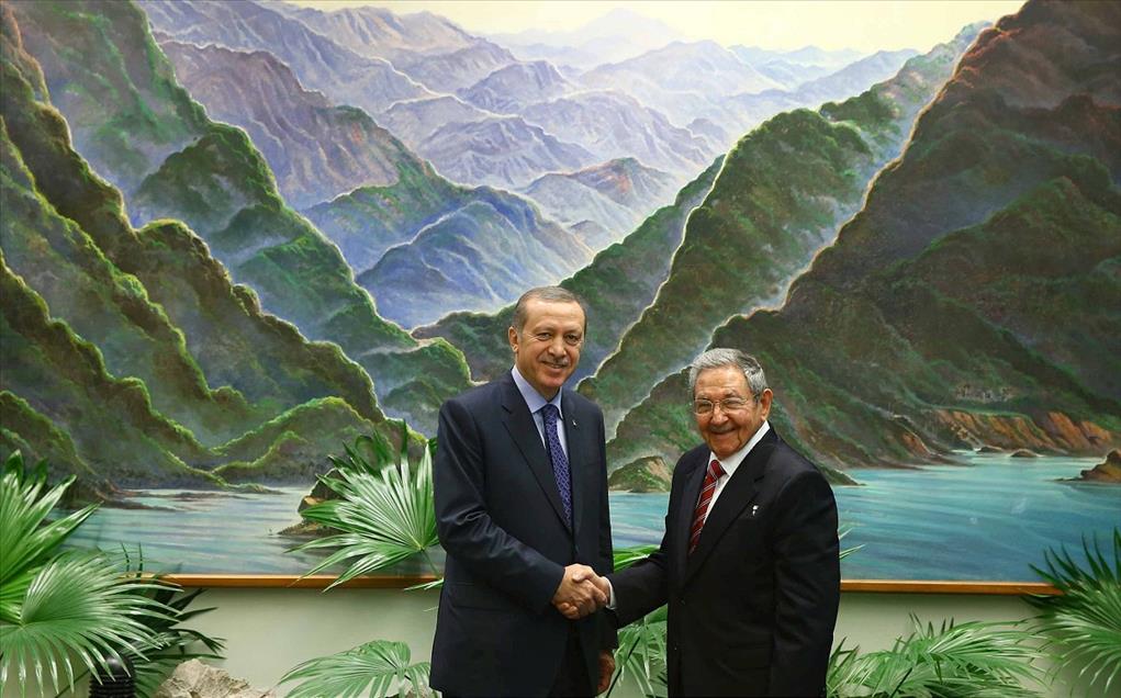 12. Cumhurbaşkanı Erdoğan'ın görevdeki ilk yılı