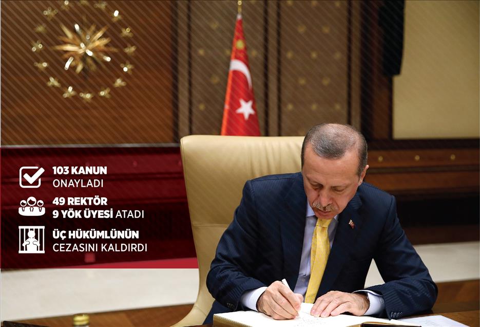 12. Cumhurbaşkanı Erdoğan'ın görevdeki ilk yılı