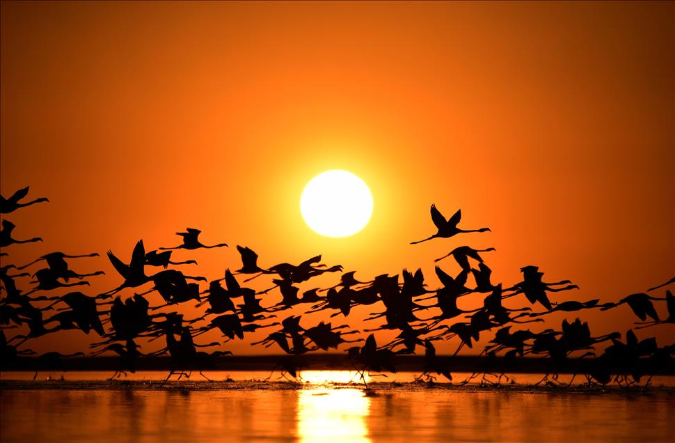 Tuz Gölü'nde gün batımı 