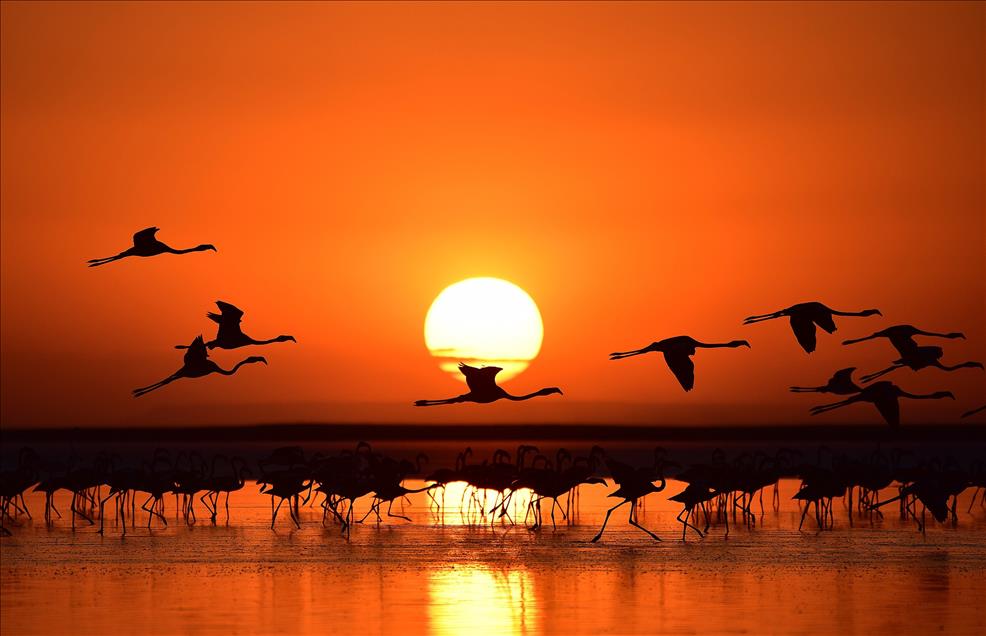 Tuz Gölü'nde gün batımı 