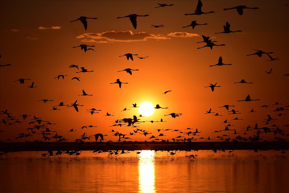 Tuz Gölü'nde gün batımı 