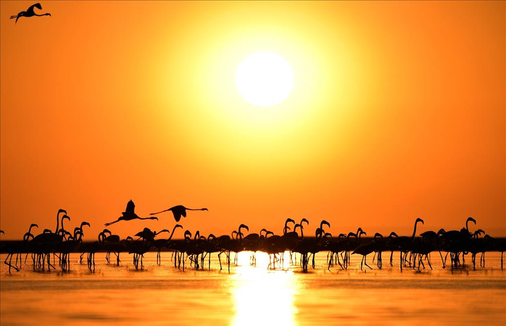 Tuz Gölü'nde gün batımı 