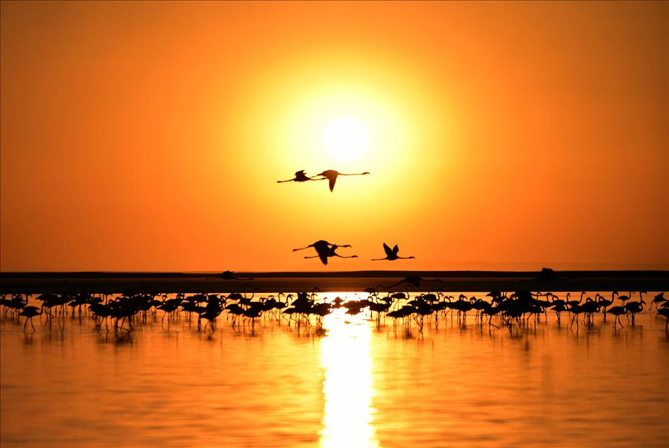 Tuz Gölü'nde gün batımı 