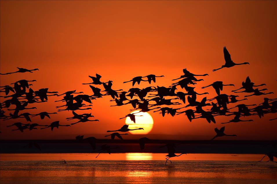 Tuz Gölü'nde gün batımı 