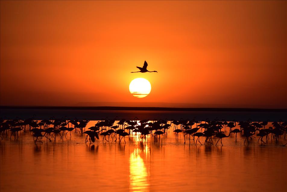 Tuz Gölü'nde gün batımı 