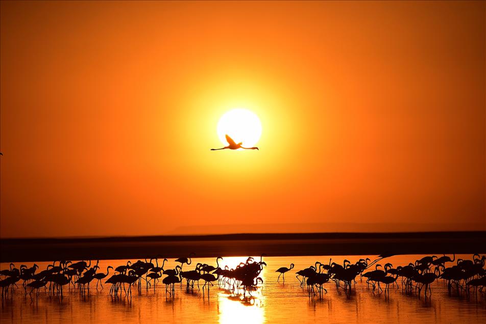 Tuz Gölü'nde gün batımı 