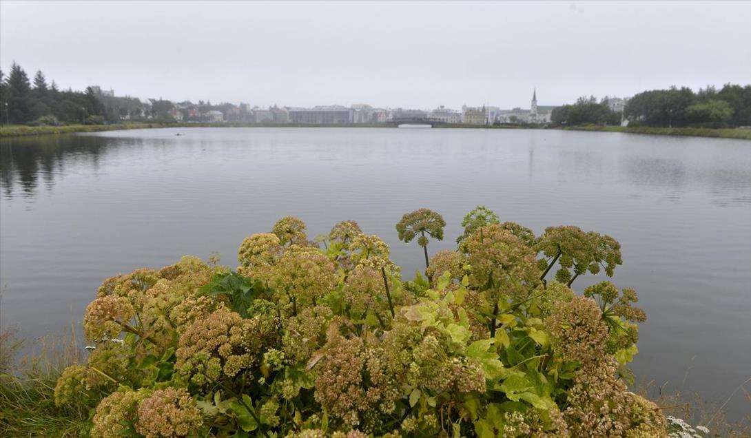 Исландия - страна огня и льда