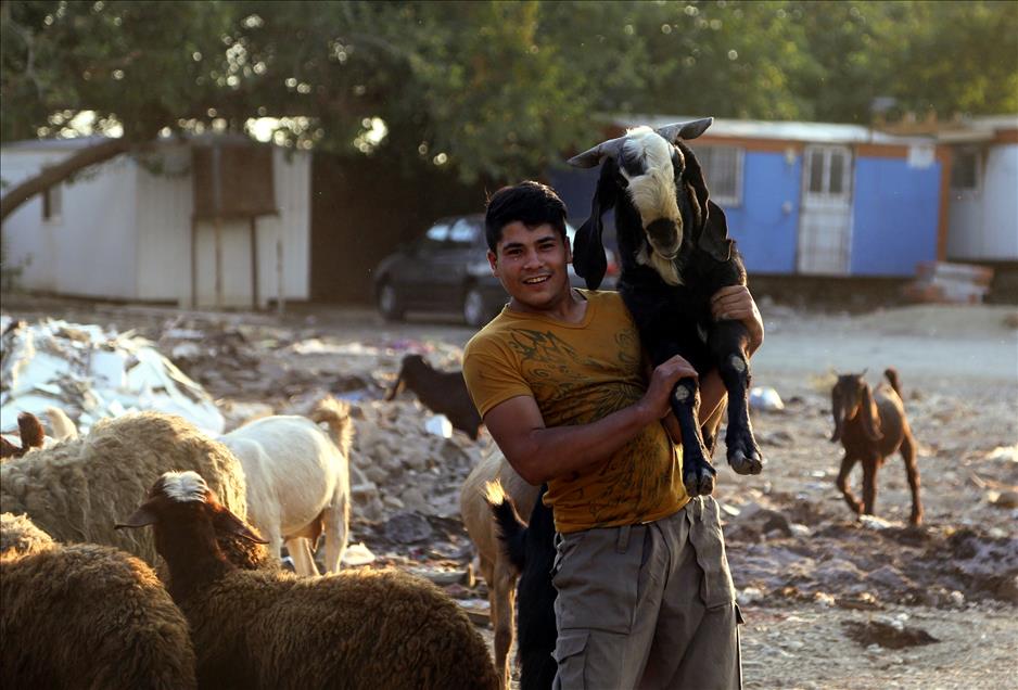 İran’da Kurban Bayramı hazırlıkları