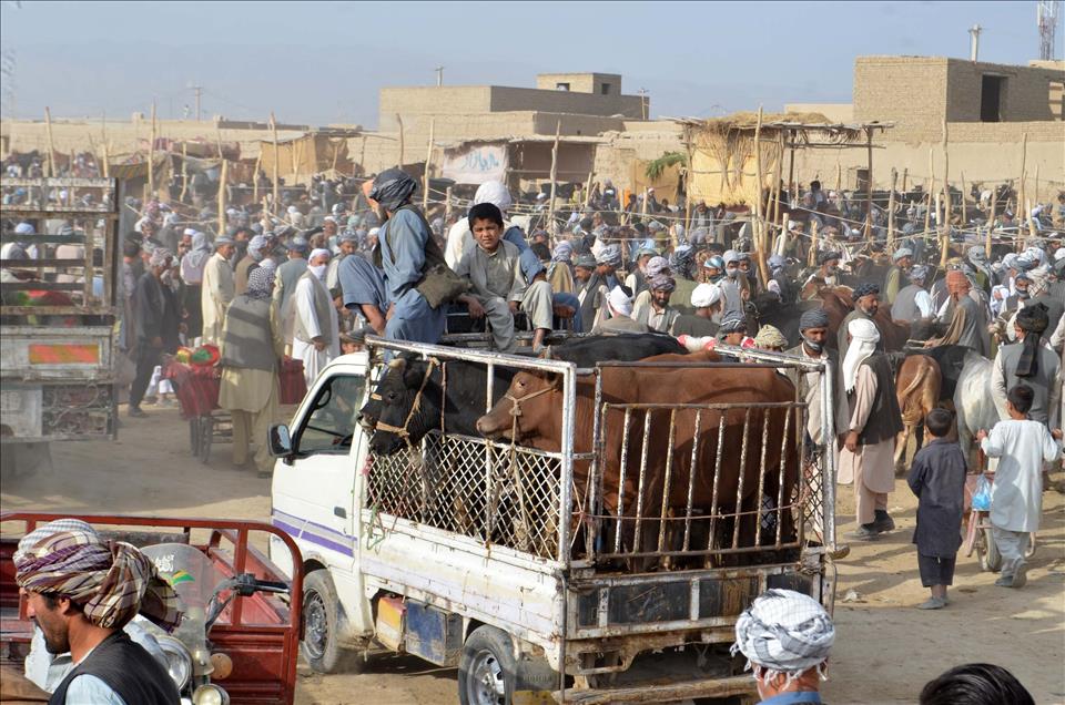 Afganistan'da Kurban Bayramı hazırlıkları