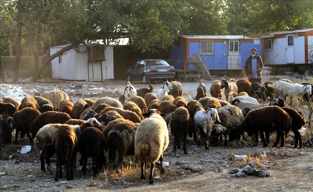 İran’da Kurban Bayramı hazırlıkları