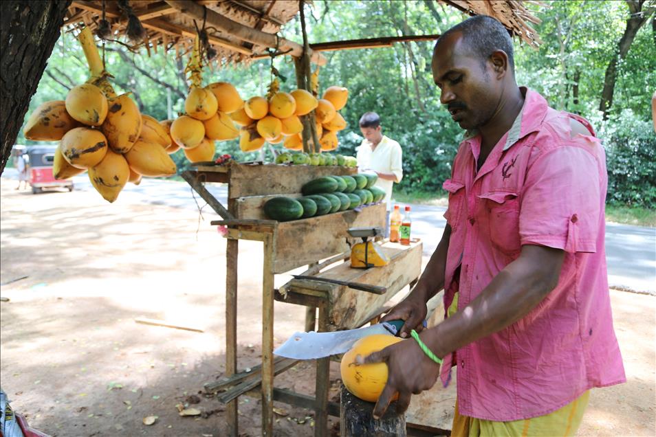 Sri Lanka'da günlük yaşam