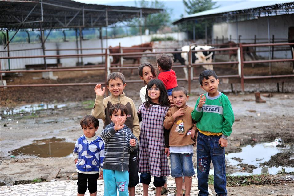 Eşi savaşta öldü, 6 çocuğuyla yaşama tutunuyor
