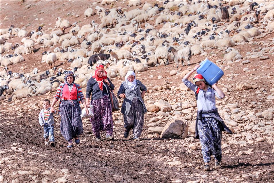 Vanlı çobanlar yayla sezonunu kapattı