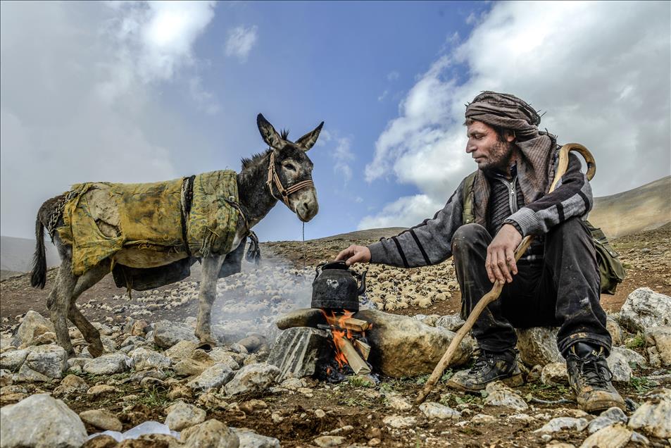 Vanlı çobanlar yayla sezonunu kapattı