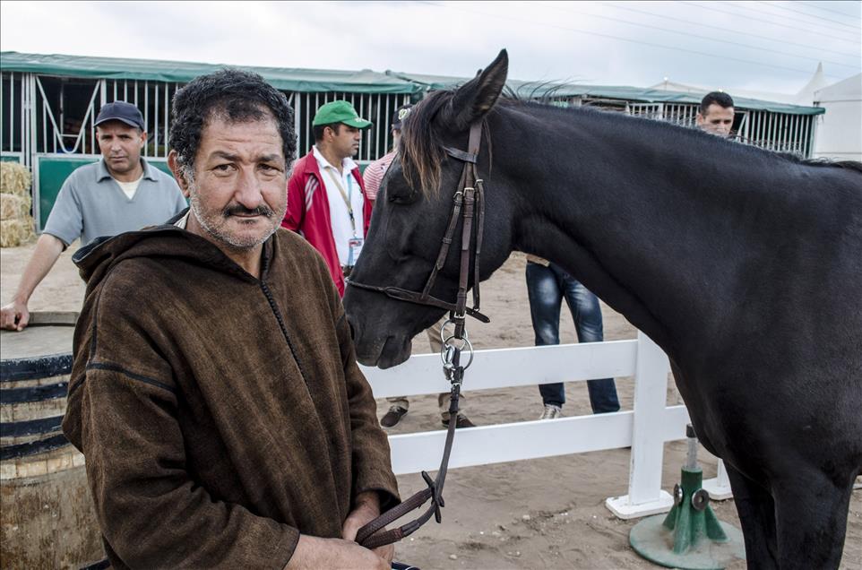Fas'ta 8. El Cedide At ve Binicilik Fuarı