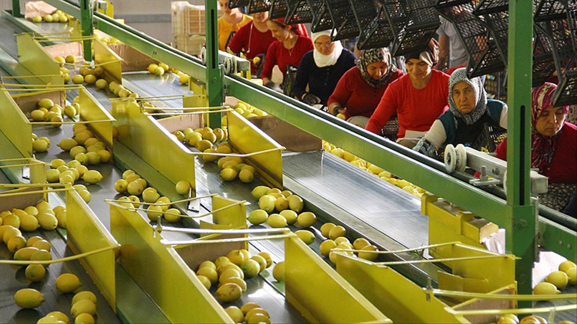 Limon bu yıl da cep yakacak