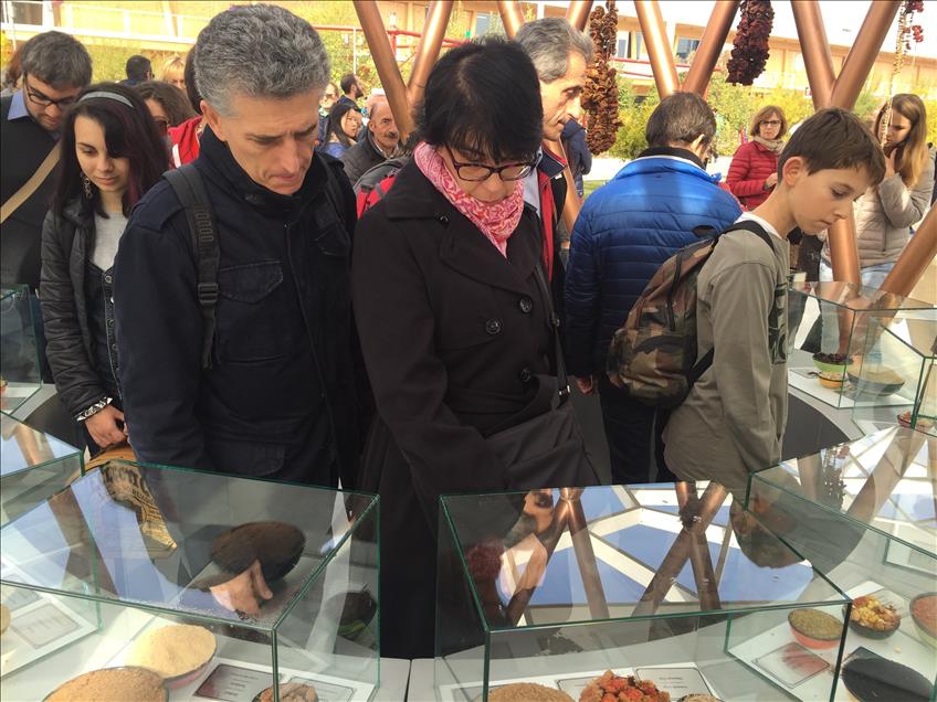 Milano EXPO'da Türkiye rüzgarı esti