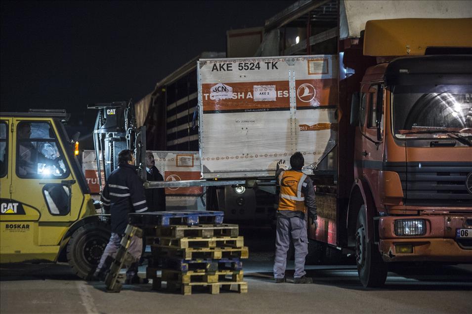 Yurt dışında kullanılan oylar