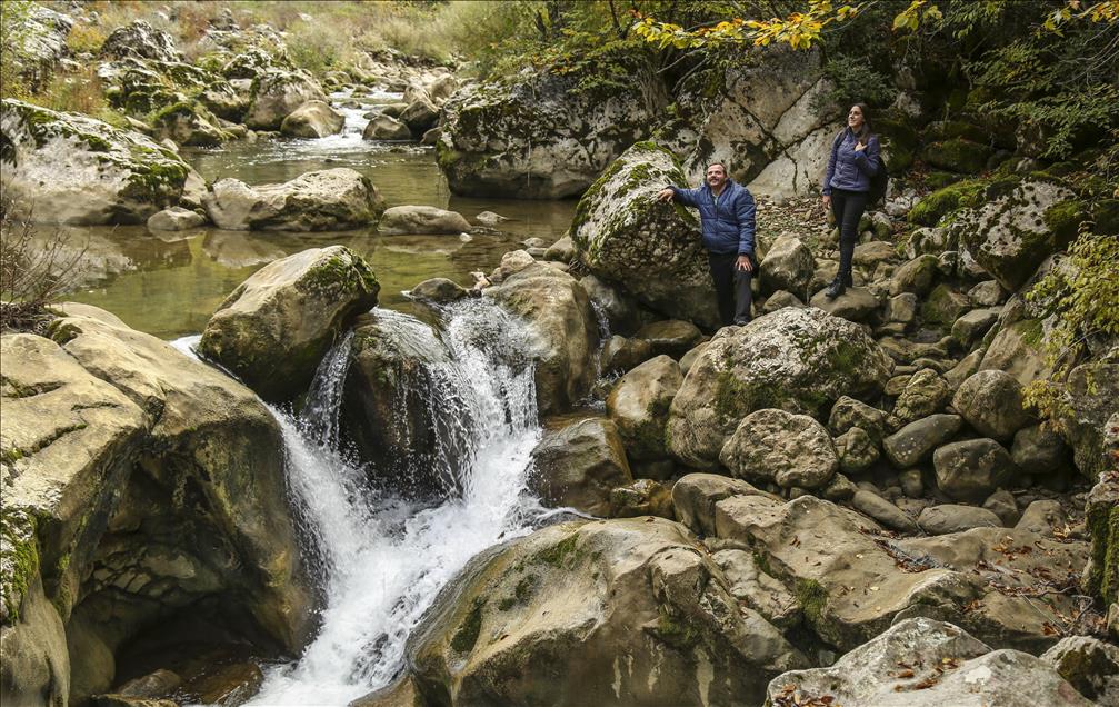 Küre Dağları Milli Parkında sonbahar