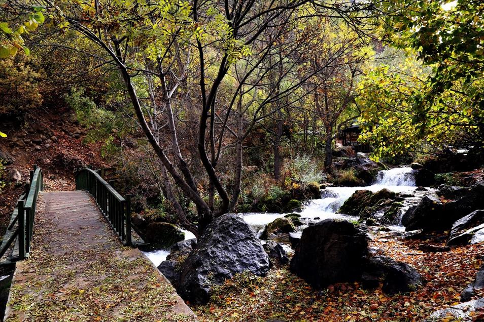 Gümüşhane’de sonbahar