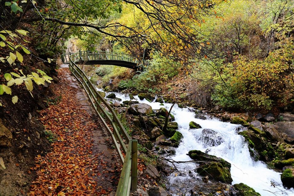 Gümüşhane’de sonbahar