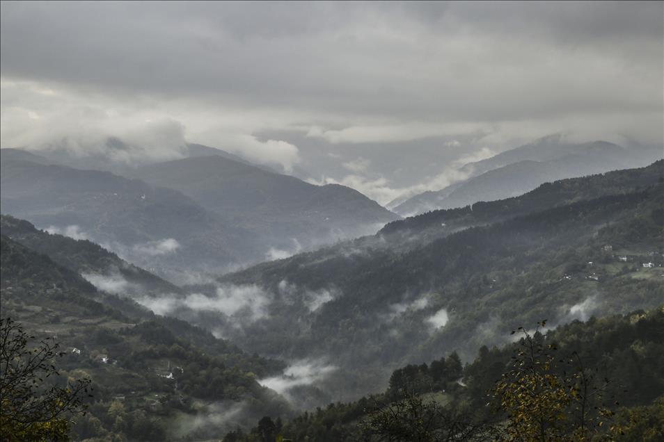 Kastamonu'da sonbaharın renk şöleni