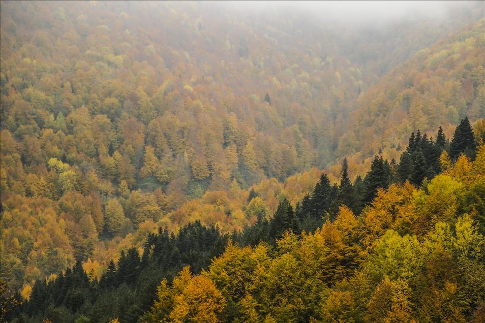 Kastamonu'da sonbaharın renk şöleni